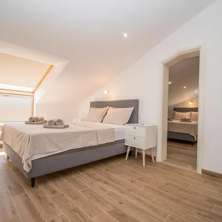 Pavlovic * 沃迪切