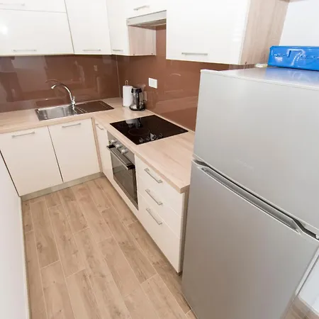 Appartement Pavlovic *
